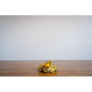 physalis