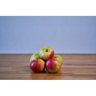 apfel ''jonagold''